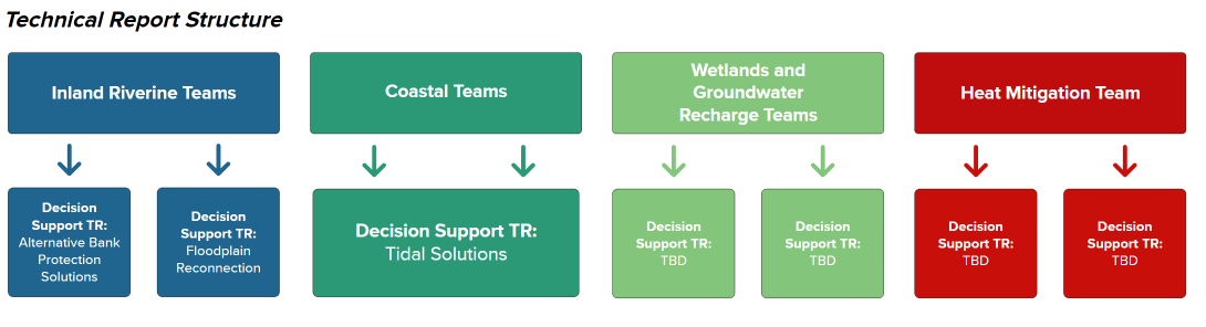 Decision-Making Processes